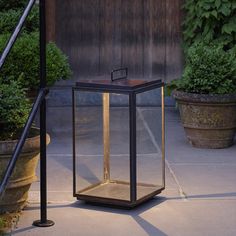 a lantern sitting on the ground next to some plants