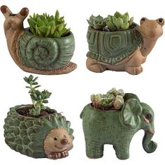 four ceramic elephant planters with succulents and plants in them are shown