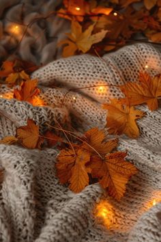 autumn leaves on a blanket with lights in the background