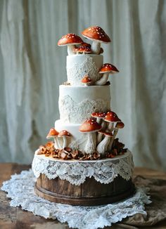 Antique lace and cream icing, wooden base, edible toadstool mushrooms with white chocolate spots Fairy Wedding Cake Ideas, Magical Forest Wedding Cake, Fairy Core Wedding Cake, Mushroom Theme Wedding, Mushroom Cake Design, Mushroom Themed Wedding, Edible Mushrooms For Cake, Forest Themed Wedding Cake, Mushroom Wedding Decor