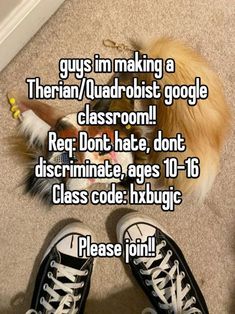 a dog laying on the floor next to a pair of shoes with text that reads guys i'm making a terrain / quadrbist google classroom reg dont hate, don't