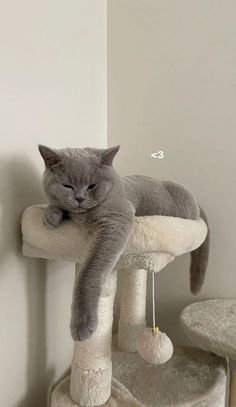 a cat laying on top of a scratching post