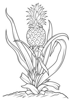 a pineapple plant growing out of the ground with leaves and flowers around it, outlined in black and white