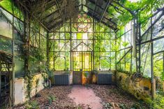 an abandoned building with ivy growing on the walls and windows, in front of trees