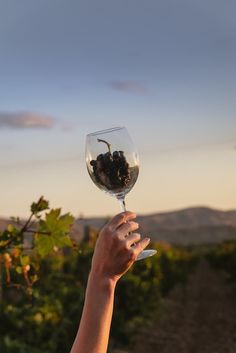 a person holding up a wine glass with grapes in it