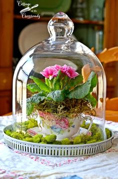 a glass clochet with flowers in it on top of a table