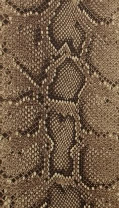 a snake skin pattern is seen in this image