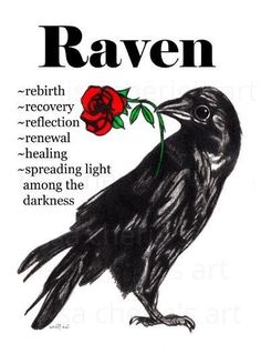 a black bird with a red rose in its beak and the words raven on it