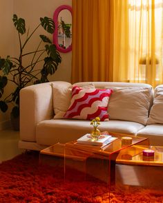 a living room with a couch, coffee table and potted plant