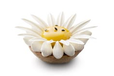 a white and yellow flower with black dots on it's center, sitting in a bowl