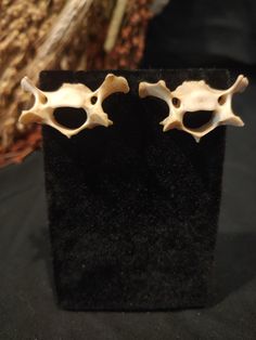 Real small animal bone stud earrings. Real, ethically sourced small animal bone earrings. A unique and gothic piece of jewelry. Made with silver colored metal alloy. Not one pair of earrings is ever the same! All bones used in my jewelry and art are ethically sourced. No animals were harmed for the making of my jewelry and artwork. Due to the nature of the source, colors of bones can vary and each bone is unique in shape and size.  All bones have been washed and whitened. Please take off earrings if planning on being in the water for best protection. Bone Crafts Earrings, Unique Bone-colored Nickel-free Earrings, Real Bone Jewelry, Animal Bone Jewelry, Studded Earrings, Earrings Real, Earrings Gothic, Bone Crafts, Black River