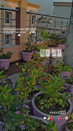 there are many potted plants on the roof of this house, and one is showing that it's time to plant