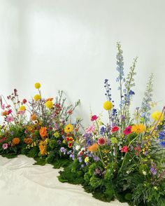 an assortment of flowers are arranged in a row