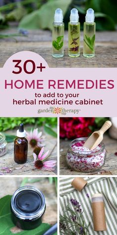 There are so many natural health benefits from plants you can grow. These holistic home remedies are the best items for your herbal medicine cabinet. Herb Medicine, Herbal Medicine Cabinet, Herbal Medicine Recipes, Herbal Remedies Recipes, Diy Kosmetik, Herbal Recipes, Herbal Apothecary, Natural Healing Remedies