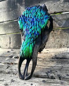 a blue and green bird's head on top of a piece of drift wood