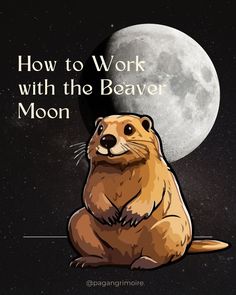 Get ready to connect with the Beaver Moon’s energy. November’s Full Moon is all about stability, abundance, and intentional preparation. Perfect for releasing old patterns, setting goals, and grounding yourself before winter. #BeaverMoon #FullMoonRitual #Witchcraft Grounding Yourself, Protective Charms