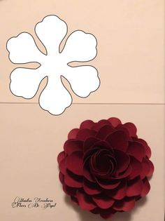 a paper flower is shown on the wall