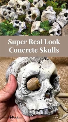 there is a fake human skull in the middle of some plants and rocks with text overlay that says, super real look concrete skulls