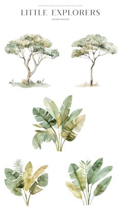 watercolor illustrations of different types of trees