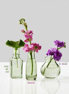 three glass vases with flowers in them on a white counter top, one has purple and the other is green