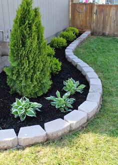 a small garden with green plants in the middle and stone edgings around it