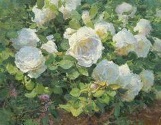 a painting of white roses in a pot