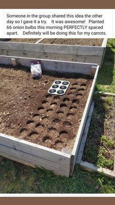 an image of someones garden with dirt growing in the ground and seedlings on the ground