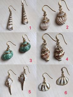 many different seashells are hanging from earrings