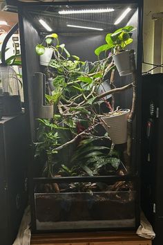 an indoor planter with plants in it