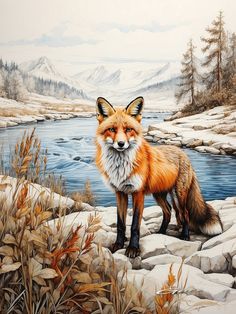 a painting of a red fox standing on top of a rock covered field next to a river