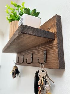 a wooden shelf with key hooks and keys hanging from it's sides next to a potted plant