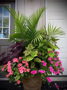 a potted plant with pink and purple flowers in front of a house entrance door