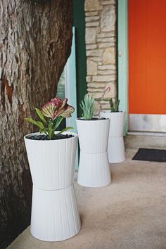 three white vases with plants in them on the ground