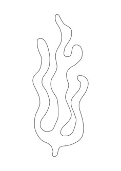 the outline of a seaweed is shown in black and white on a white background