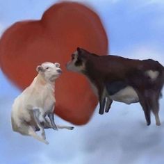 two dogs are playing with each other in front of a heart shaped object that is floating above them