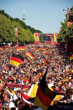 a large group of people holding flags and banners