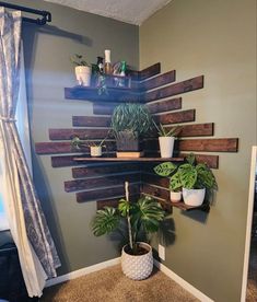 some potted plants are sitting on wooden shelves in the corner of a room with gray walls