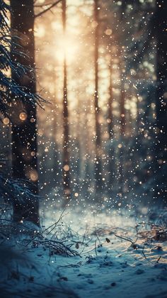 the sun is shining through the trees in the snow covered forest with falling snowflakes