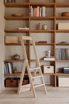 a ladder leaning against a bookshelf in a room