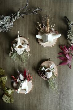 Small bone displays with vertebrae on birch wood discs Most of the natural materials are collected from our local forests. That's where the vertebrae also come from. Choose your favorite from 4 variants and give your home a little morbidly beautiful touch! Please use indoors only. Bone Oddity Art, Bone Wedding Decor, Animal Bone Display, Animal Bone Decor, Bone Crafts Diy, Bone Art Diy, Bones Display, Bone Wind Chime