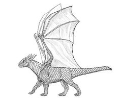 a black and white drawing of a dragon with wings spread out, on a white background