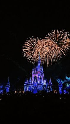 the castle is lit up at night with fireworks