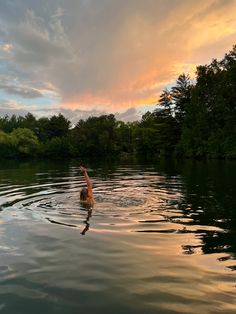 a person is swimming in the water with their hand up to the sky as the sun sets