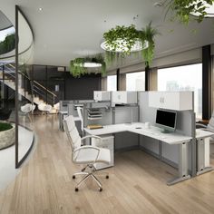 an office area with desks, chairs and plants on the walls in front of windows