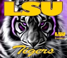 the front cover of lsu tigers magazine