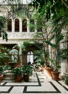 an indoor courtyard with many potted plants