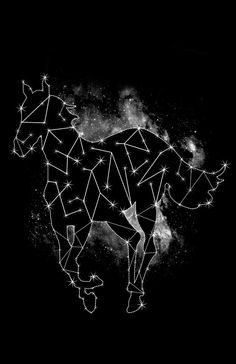 a black and white drawing of a horse with stars on it's body in the night sky