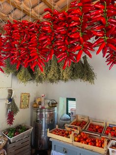 red peppers hanging from the ceiling in a market area with other fruits and vegetables on display