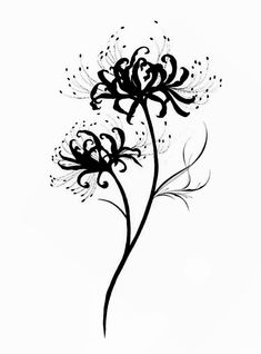 black and white drawing of flowers on a white background