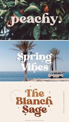 Vintageas Font, Retro Font, Groovy Fonts, Free font download, download font free Groovy Logo Graphic Design, Groovy Branding, Boho Magazine, 70s Font, Best Canva Fonts, Nature Font, Free Fonts For Cricut, Font Branding, Font Vintage